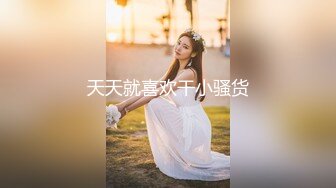 超靓美女『莉奈酱』欲望号啪啪列车 无视旅客和男友车上全裸啪啪 无套爆操