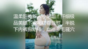 超美乳~渔网丝袜被干到