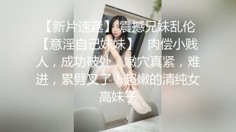 高清成人爽a毛片免费一级