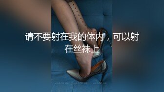 肥臀大奶 女骑士