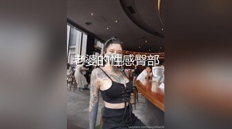 【AI换脸视频】央视主持人 老中青一姐大PK