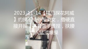 2023-11-14【精品探花阿威】约操不错外围美女，撸硬直接开操，抓着柰子揉捏，扶腰后入猛顶爆操