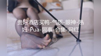 贵妇酒店买鸭-气质-眼神-熟妇-Pua-同事-合集-网红