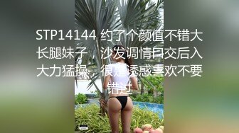 发胖网黄与超帅教练【上集】