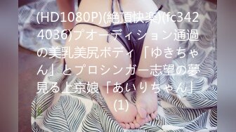 西比勒蓝光中法双字幕Sibyl2019BD1080pX264AACCHSFRAUUMp4