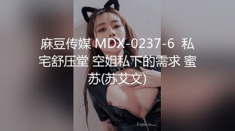 麻豆传媒 MDX-0237-6  私宅舒压堂 空姐私下的需求 蜜苏(苏艾文)