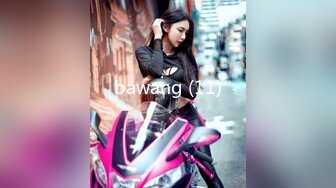 bawang (11)