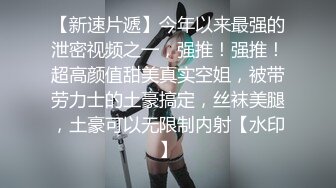 ❤️温柔典雅❤️非要我穿上高跟黑丝满足他的恋物癖，超级羞耻高铁厕所挑战 高铁厕所真是梦想场景 看着自己发骚的样子好害羞 (2)