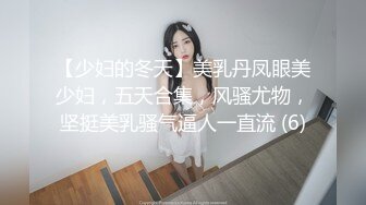 【少妇的冬天】美乳丹凤眼美少妇，五天合集，风骚尤物，坚挺美乳骚气逼人一直流 (6)