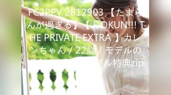 FC2PPV 2812903 【たまらんが過ぎる】【 DOKUN!!! THE PRIVATE EXTRA 】カレンちゃん / 22歳 / モデルの場合。②(別アングル特典zip付き)